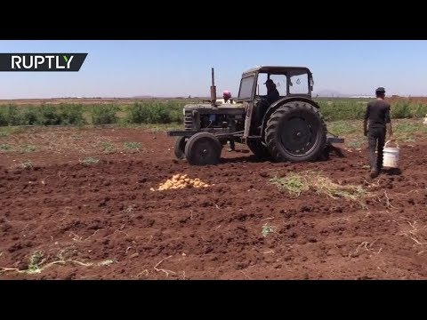 شاهد القطاع الزراعي يبدأ بالتعافي في درعا