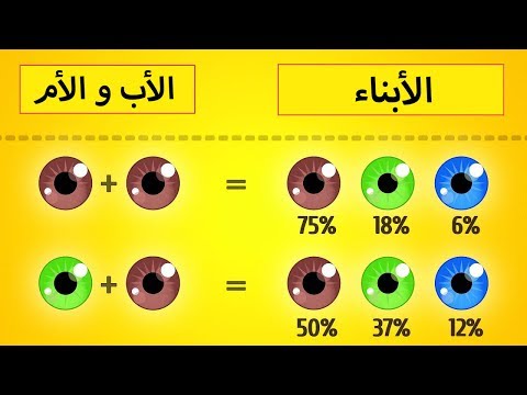 شاهد اعرف شكل طفلك في المستقبل على أساس علمي سليم