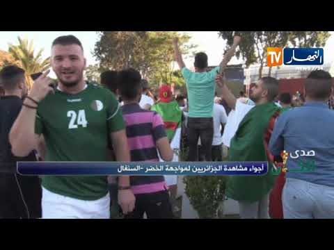 فرحة هستيرية لأنصار المنتخب الجزائري بهدف بلايلي