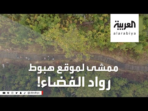 شاهد ممر خشبي في قلب غابة روسية