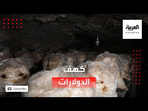 شاهد أيزيدي يحول كهفًا إلى مزرعة لفطر المحار في شمال العراق