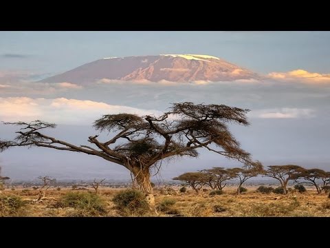 3 رجال يتحدَّون القمَّة الجبليَّة الأعلى في أفريقيا