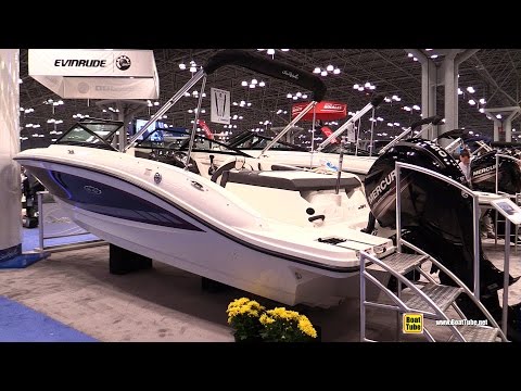 تعرف على اليخت المميز sea ray 19 spx